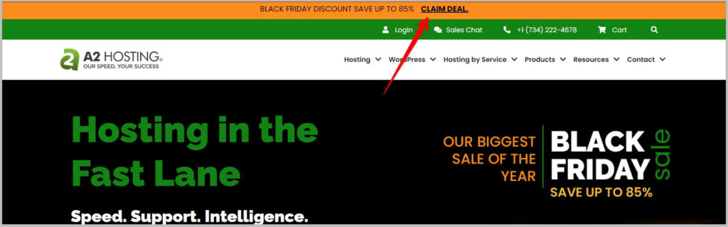 A2 Hosting homepage during Black Friday 2023 Sale