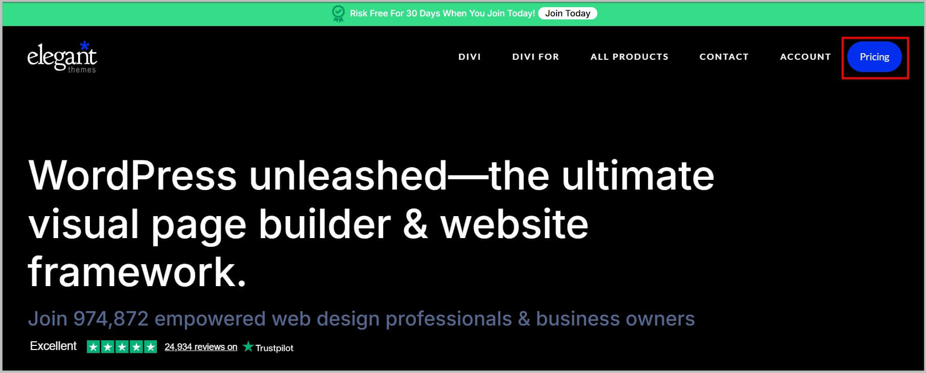 Divi homepage