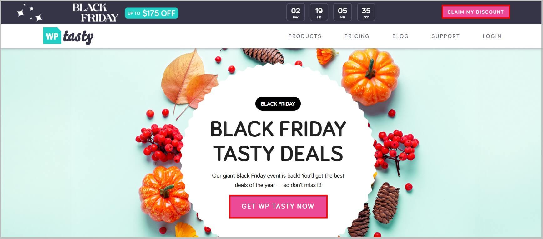 WP Tasty homepage during Black Friday