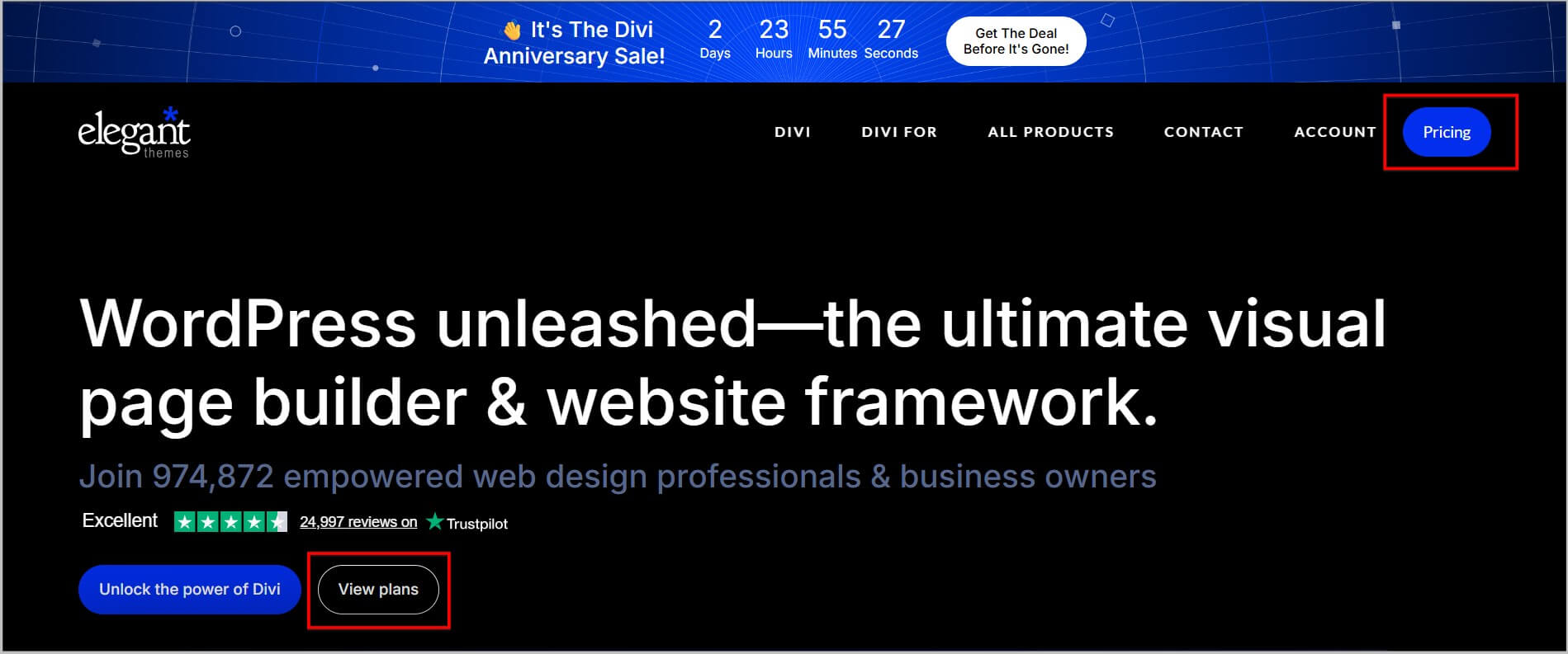 Divi homepage during Anniversary sale